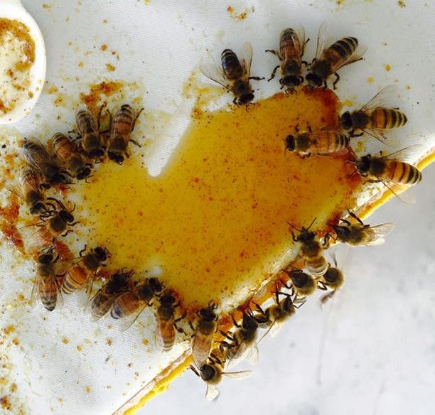 Twenty-five honey bees around a small puddle of honey in the shape of a heart.
