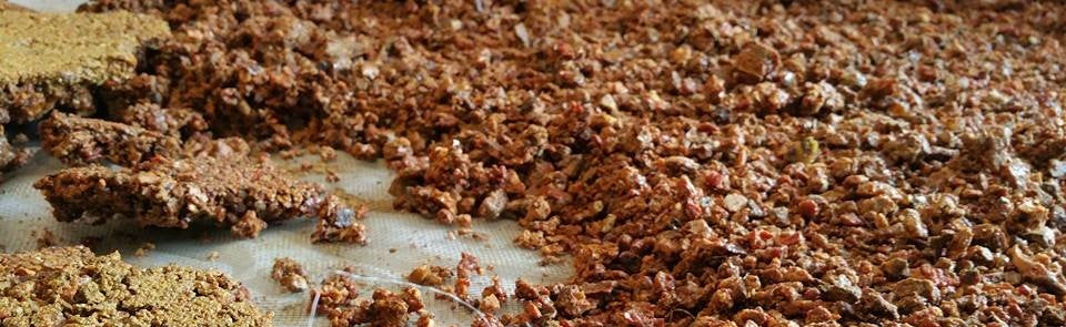 Raw bee propolis spread over a table after harvest