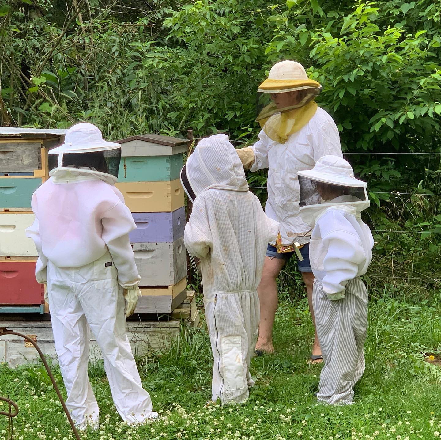 BEEpothecary worker in a beekeepers suit instructing three children in beekeepers suits with bee boxes in background.