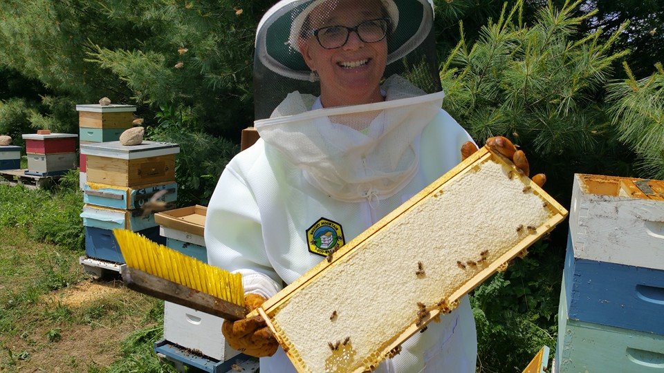 Laurie in a beekeeper suit holding a slat of light-colored honey bee honey comb.